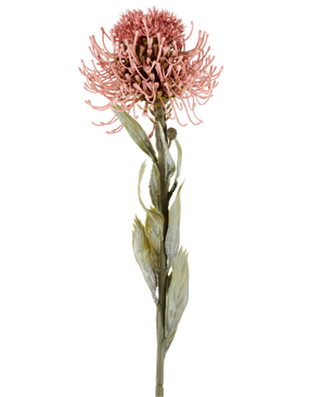 Fleur artificielle Protea 60 cm vieux rose avec des pétales roses pointus et des feuilles vertes sur une longue tige, présentée sur un fond blanc uni.