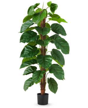 La Plante Artificielle Epipremnum aureum 150 cm est une grande plante artificielle aux grandes feuilles vertes brillantes, présentée dans un pot noir sur un fond uni blanc.