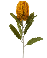 Une seule fleur artificielle de Banksia de couleur moutarde, de 65 cm de haut, de forme cylindrique et de feuilles vertes dentelées sur une longue tige, isolée sur un fond blanc.