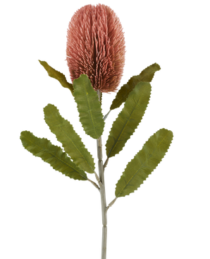 Une seule tige de la fleur artificielle Banksia 65 cm vieux rose présente une grande fleur cylindrique rose et de longues feuilles vertes dentelées qui se détachent sur un fond blanc.
