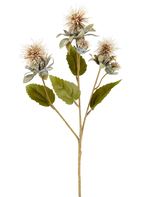Une seule tige de fleur de carthame artificielle de 57 cm crème/marron, avec trois fleurs pointues, rondes, marron clair et quelques feuilles vertes, représentées sur un fond blanc.