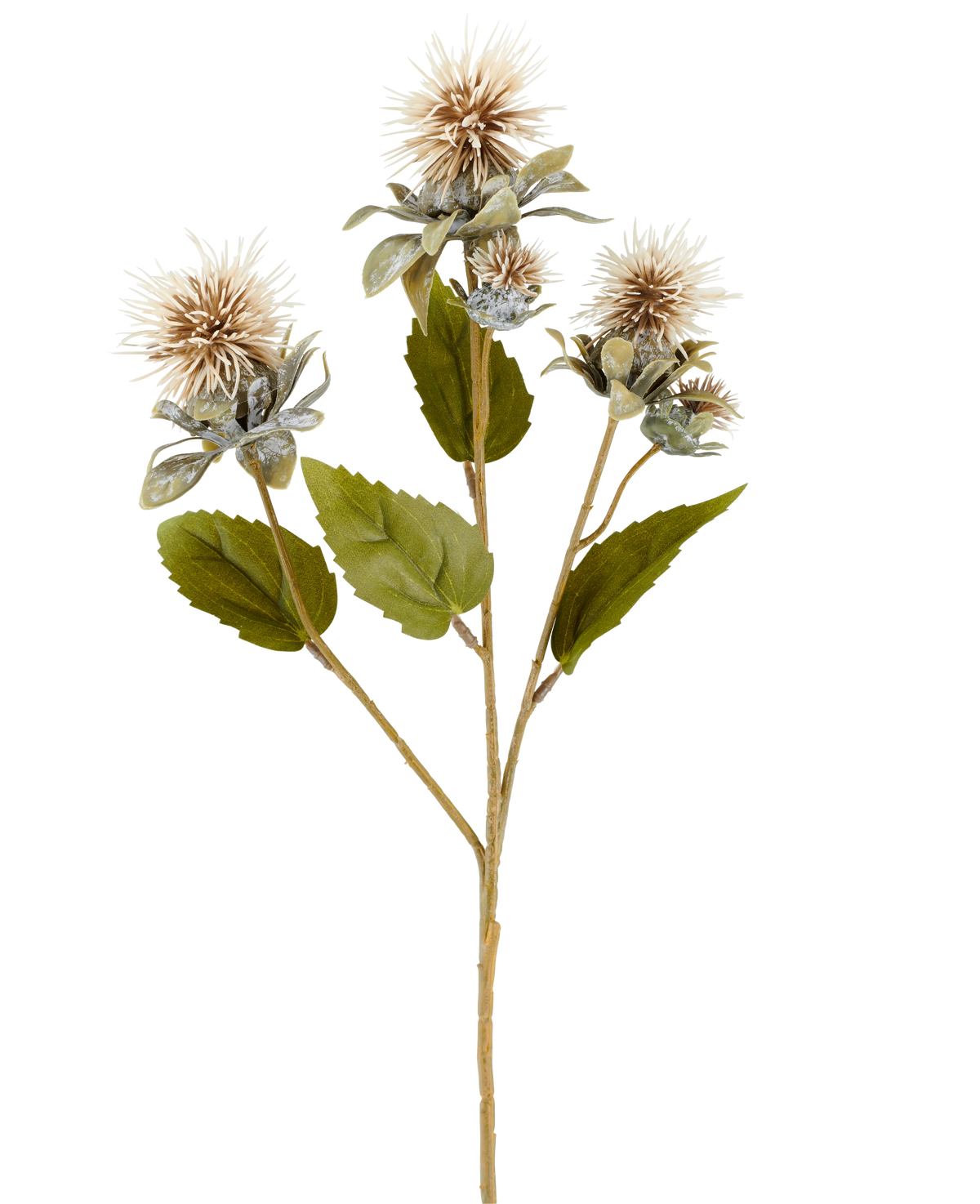 Une seule tige de fleur de carthame artificielle de 57 cm crème/marron, avec trois fleurs pointues, rondes, marron clair et quelques feuilles vertes, représentées sur un fond blanc.