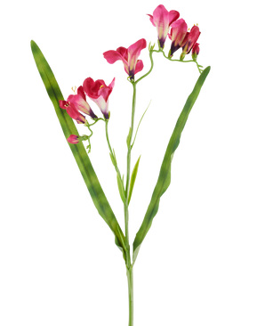 Une fleur artificielle : un freesia fuchsia de 56 cm, avec des fleurs fuchsia vibrantes et deux longues feuilles vertes fines, représentées sur un fond blanc.
