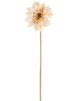 Une seule fleur artificielle Mini Gerbera de couleur crème/marron, avec des pétales superposés et une tige longue et fine de 47 cm, centrée sur un fond blanc.