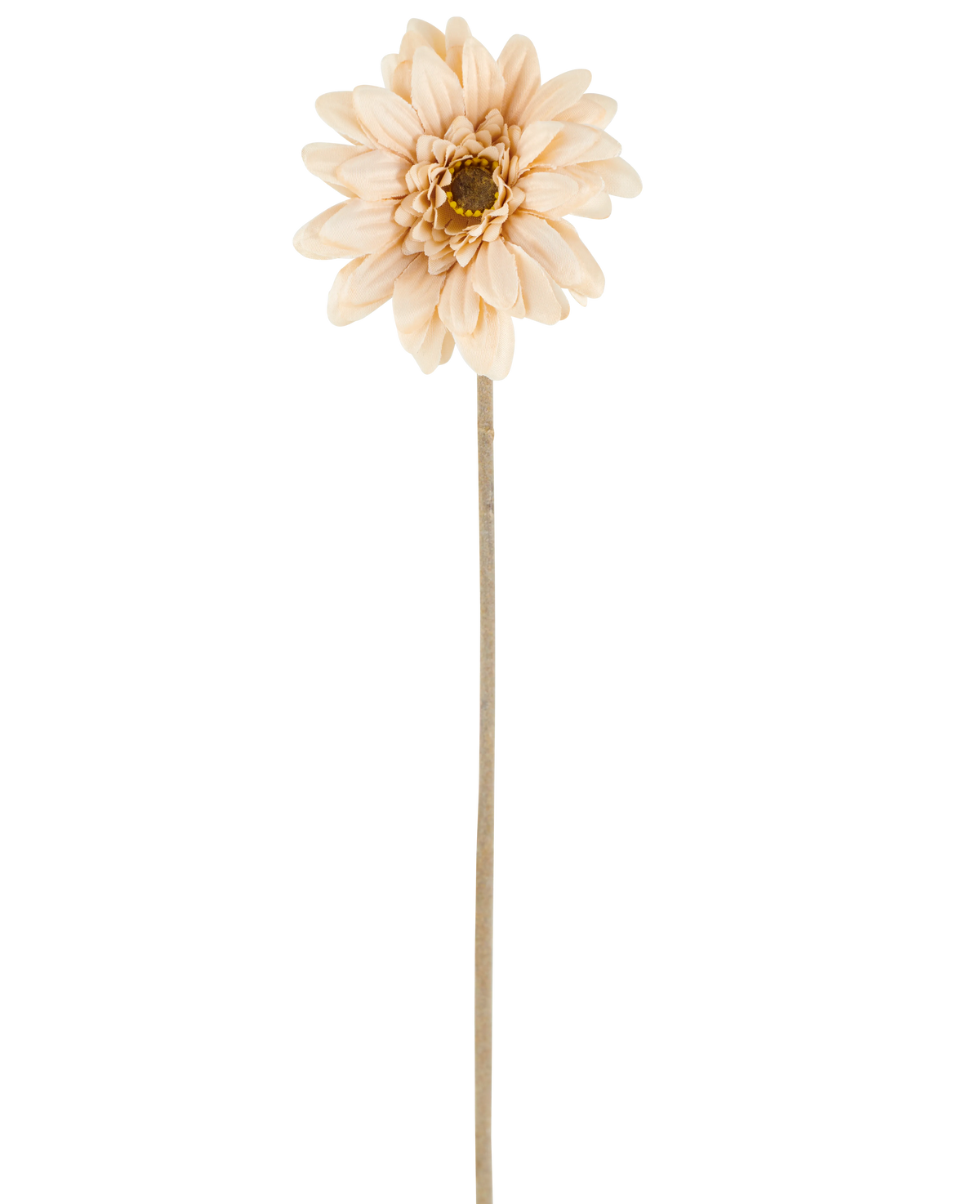 Une seule fleur artificielle Mini Gerbera de couleur crème/marron, avec des pétales superposés et une tige longue et fine de 47 cm, centrée sur un fond blanc.