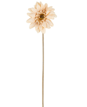 Une seule fleur artificielle Mini Gerbera de couleur crème/marron, avec des pétales superposés et une tige longue et fine de 47 cm, centrée sur un fond blanc.