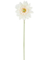 La Fleur Artificielle Mini Gerbera 47 cm crème est une fleur artificielle simple de teinte blanc crème, avec des pétales superposés et un cœur vert, attachée à une longue tige verte droite et présentée sur un fond blanc uni.