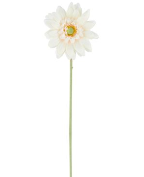 La Fleur Artificielle Mini Gerbera 47 cm crème est une fleur artificielle simple de teinte blanc crème, avec des pétales superposés et un cœur vert, attachée à une longue tige verte droite et présentée sur un fond blanc uni.
