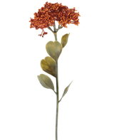 Une seule fleur de Sedum artificielle de 46 cm de couleur orange patiné, avec des grappes de petites fleurs rouge-orange et quelques feuilles vertes, représentées sur un fond blanc.