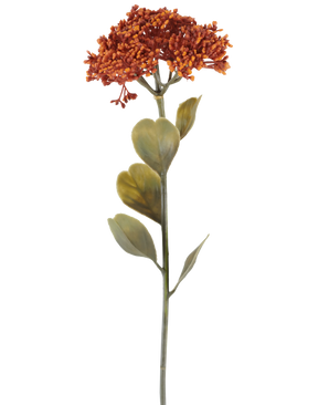 Une seule fleur de Sedum artificielle de 46 cm de couleur orange patiné, avec des grappes de petites fleurs rouge-orange et quelques feuilles vertes, représentées sur un fond blanc.