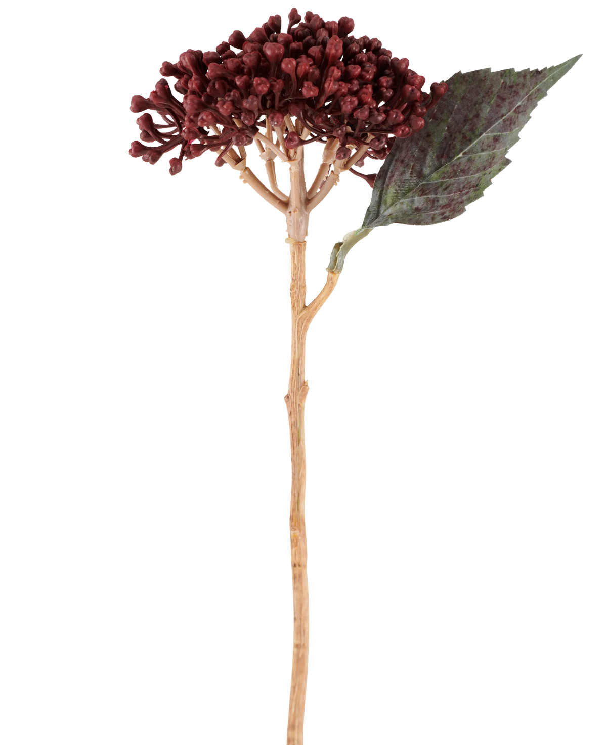 Une seule fleur artificielle d'hortensia séchée de couleur rouge bordeaux, d'une longueur de 38 cm, avec des pétales séchés rouge-brun, une grappe de petits bourgeons et une feuille verte sur une tige longue et mince, est représentée sur un fond blanc.
