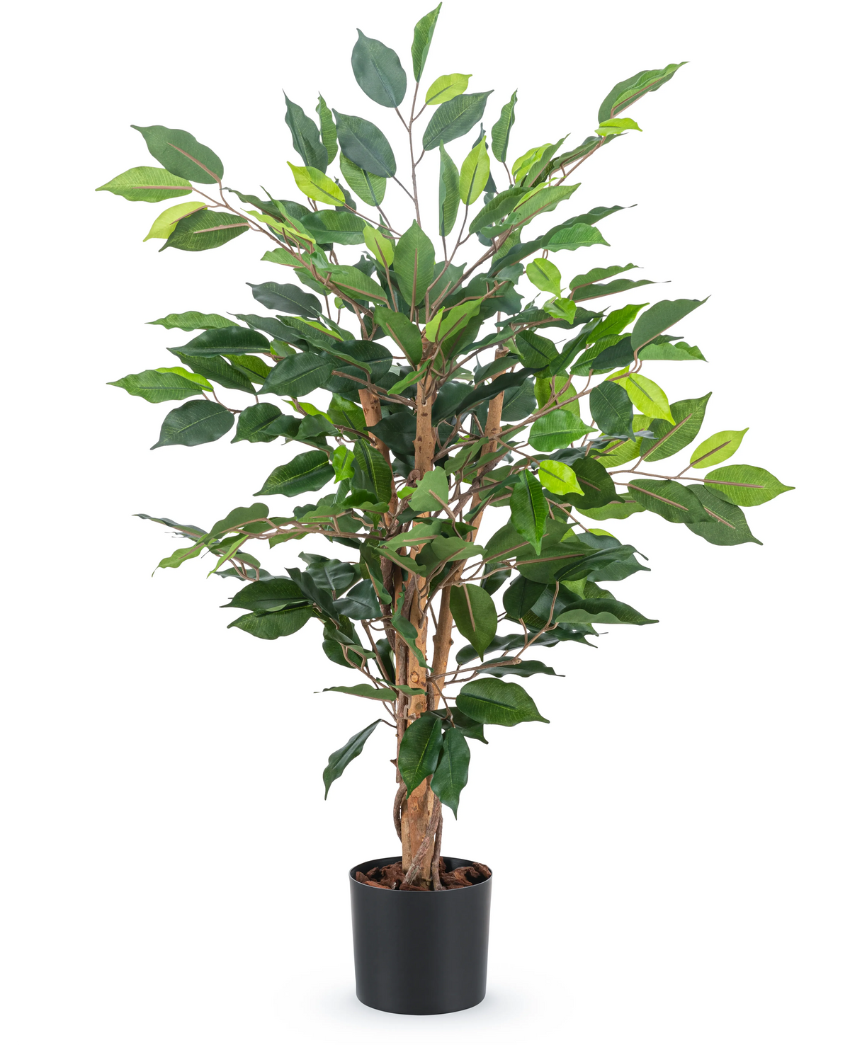 La plante artificielle Ficus Green 90 cm a plusieurs tiges brunes et des feuilles vertes luxuriantes dans un simple pot noir - idéale comme plante de bureau élégante.