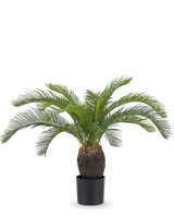 La Plante Artificielle Baby Cycas Palm 60 cm possède de longues feuilles vertes courbées et un tronc marron épais et texturé, présenté dans un pot sur un fond blanc uni.