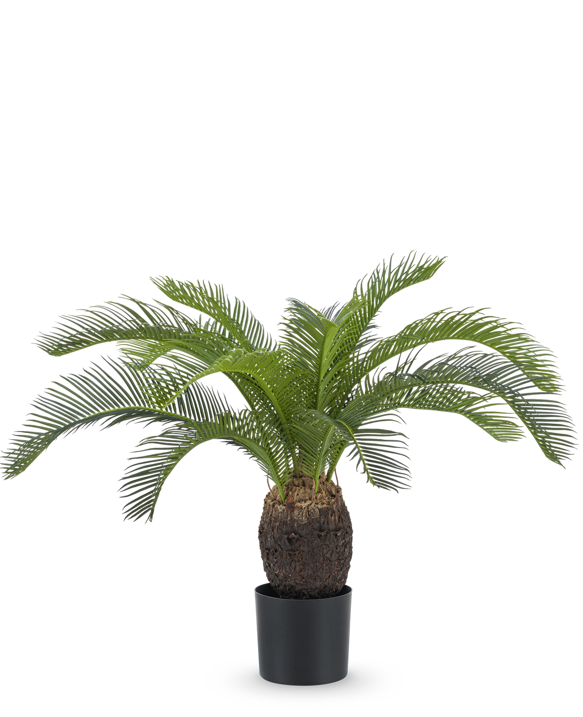 La Plante Artificielle Baby Cycas Palm 60 cm possède de longues feuilles vertes courbées et un tronc marron épais et texturé, présenté dans un pot sur un fond blanc uni.
