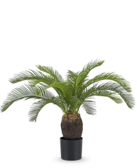 Palmier artificiel Baby Cycas 60 cm UV