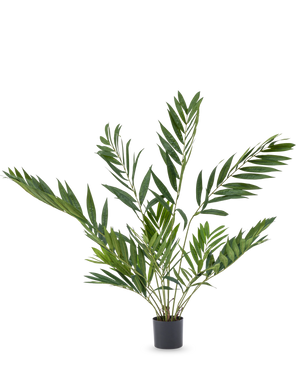 Le palmier artificiel Parlor Deluxe 90 cm est une plante en pot d'intérieur avec de longues feuilles vertes minces sur plusieurs tiges, dans un simple pot noir sur un fond blanc uni.