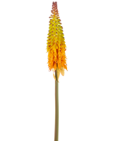 La Fleur Artificielle Torch Lily 80 cm vert/jaune a une grande fleur artificielle avec une tige verte et une grappe de petites fleurs en forme de cône qui changent de couleur du jaune en haut à l'orange en bas, sur un fond blanc.