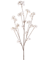 La Fleur de Cerisier Artificielle 130 cm crème possède une seule tige marron qui se ramifie en plusieurs tiges fines, chacune décorée de bouquets de petites et délicates fleurs de cerisier crème sur un fond blanc uni.