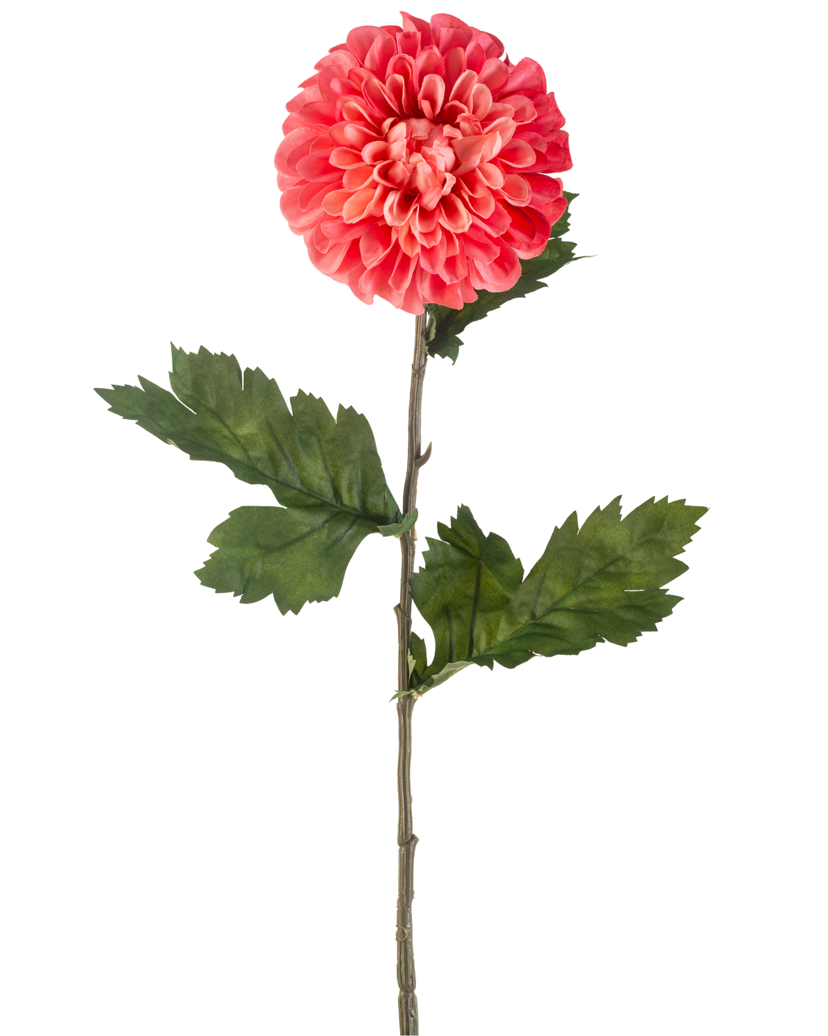 La Fleur Artificielle Dahlia 75 cm rouge est une seule fleur de dahlia rouge artificielle avec des pétales superposés et plusieurs feuilles vertes sur une longue tige verte, isolée sur fond blanc.