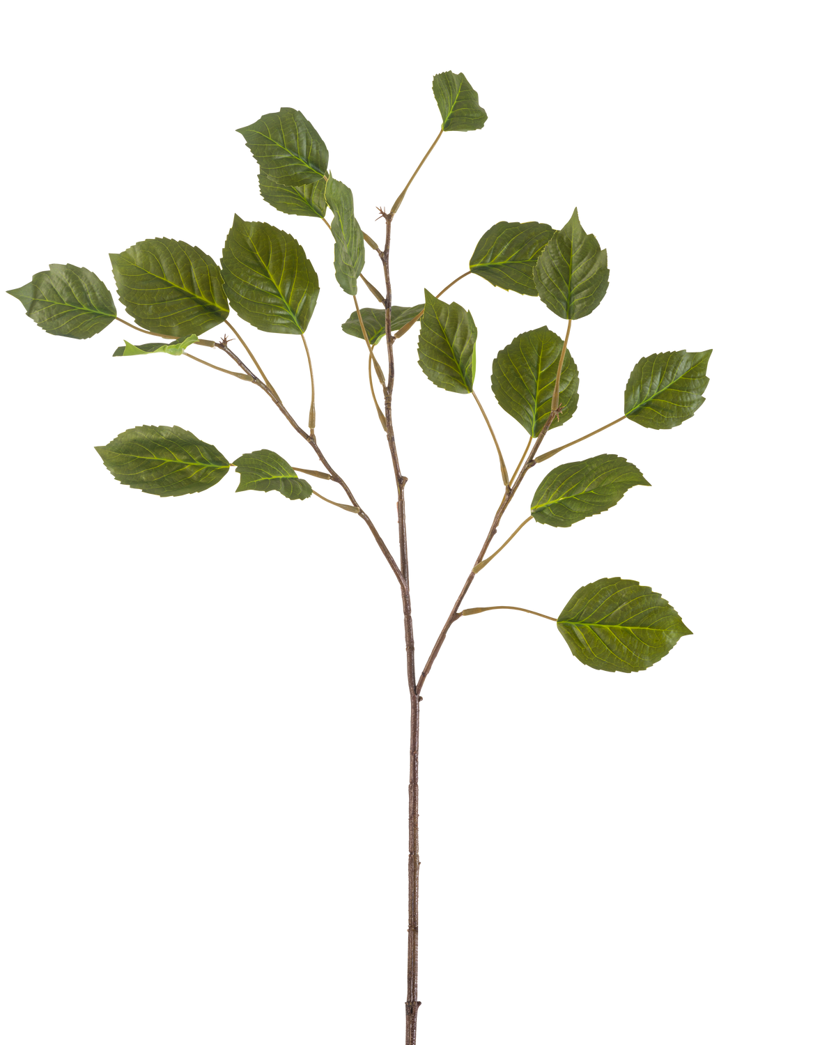 La branche d'hortensia artificielle 75 cm verte possède une tige élancée avec plusieurs branches plus petites, chacune décorée de plusieurs feuilles vertes de forme ovale, sur un fond blanc uni.