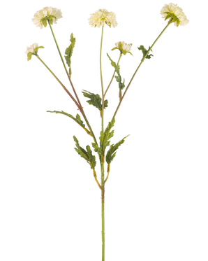La Fleur Artificielle Pompon Chrysanthème 69 cm crème/rose a une tige verte qui se ramifie en cinq tiges plus petites, chacune surmontée d'une fleur ronde rose crème et entourée de feuilles vertes dentelées, le tout sur un fond blanc uni.