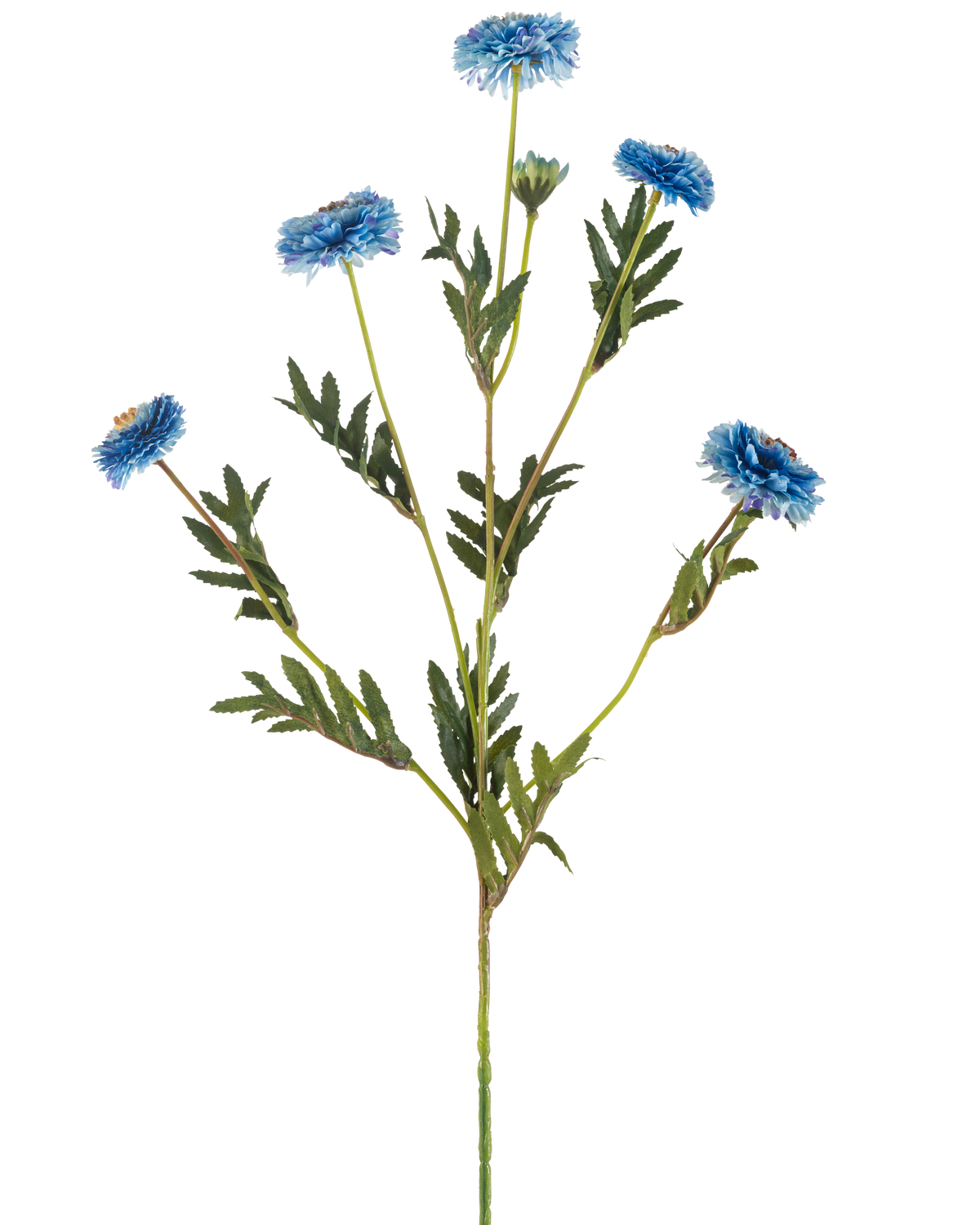 La Fleur Artificielle Pompon Chrysanthème 69 cm bleu a une seule tige verte avec plusieurs branches, six fleurs artificielles bleues avec des coeurs jaunes et des feuilles vertes étroites, le tout sur un fond blanc.