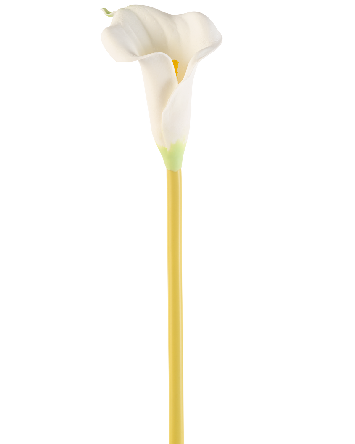 La Fleur Artificielle Calla 64 cm crème est un simple lys calla artificiel blanc avec une longue tige jaune, sur un fond blanc uni.