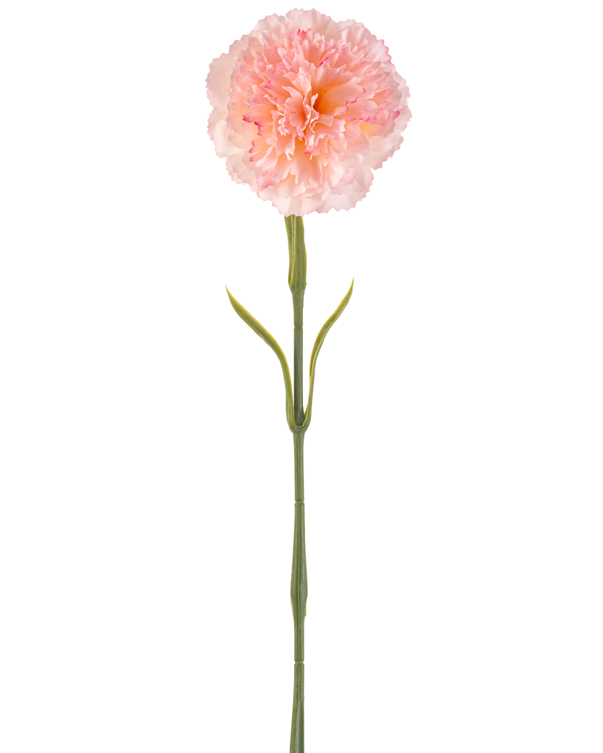 Fleur artificielle Oeillet 57 cm rougissant : Un seul œillet artificiel rose clair avec des pétales plissés sur une longue tige verte et deux paires de feuilles minces, représenté sur un fond blanc.
