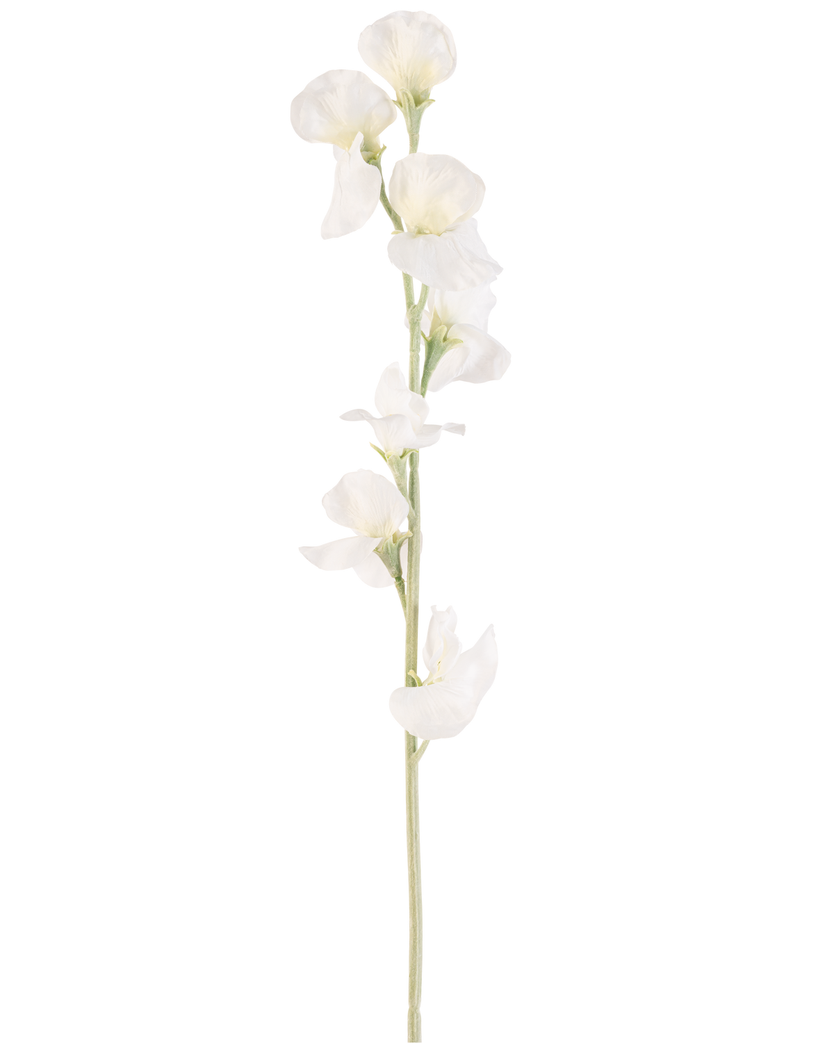 Une seule fleur artificielle de pois crème de 64 cm a de multiples fleurs délicates blanc crème sur des tiges vert clair, sur un fond blanc uni.
