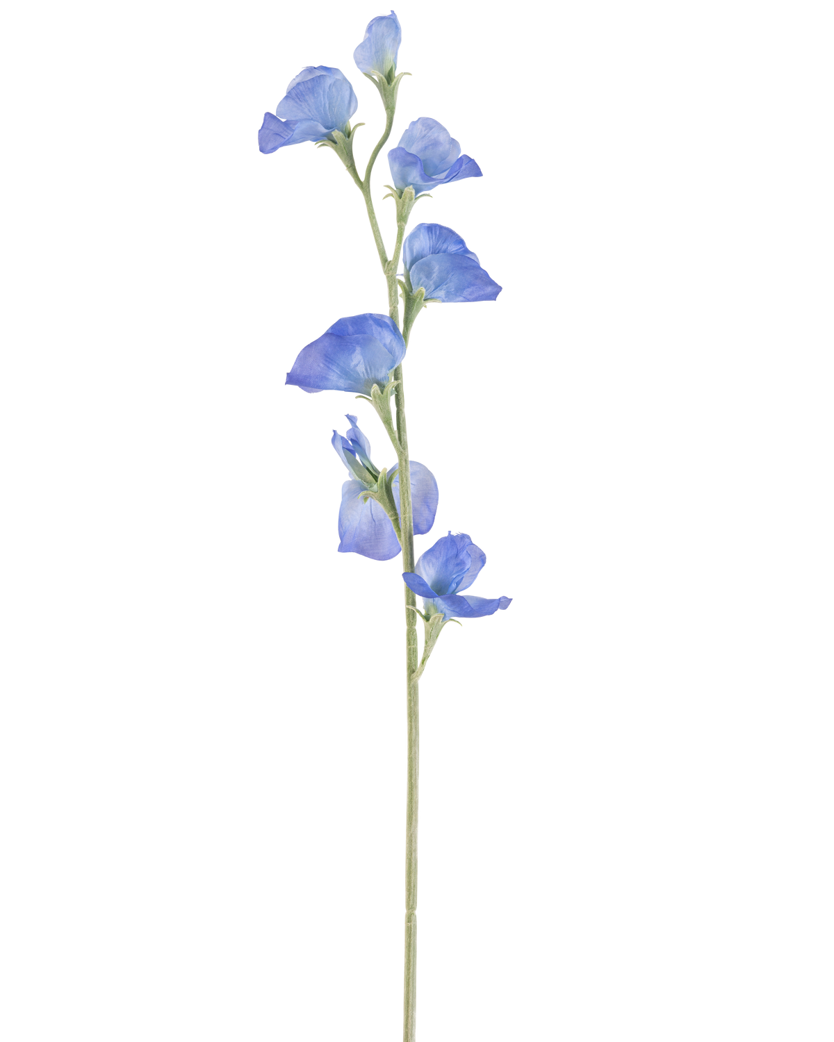 La fleur artificielle pois 64 cm bleu a une seule tige verte mince avec plusieurs fleurs bleues délicates et des boutons verts répartis sur toute sa longueur, sur un fond blanc uni.