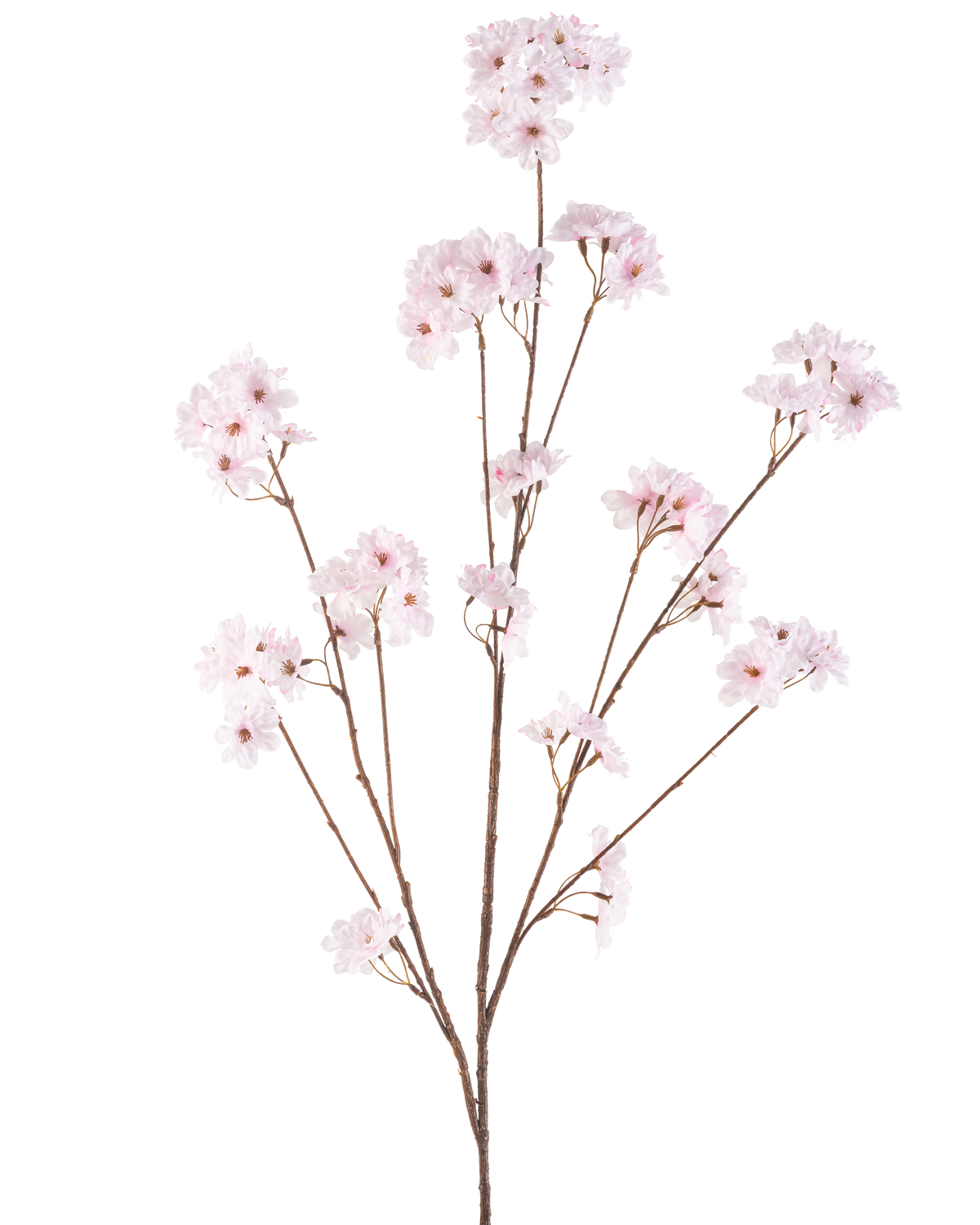 La Fleur de Cerisier Artificielle 130 cm rose clair possède plusieurs tiges fines avec des bouquets de délicates fleurs de cerisier rose clair, joliment disposées et isolées sur un fond blanc.