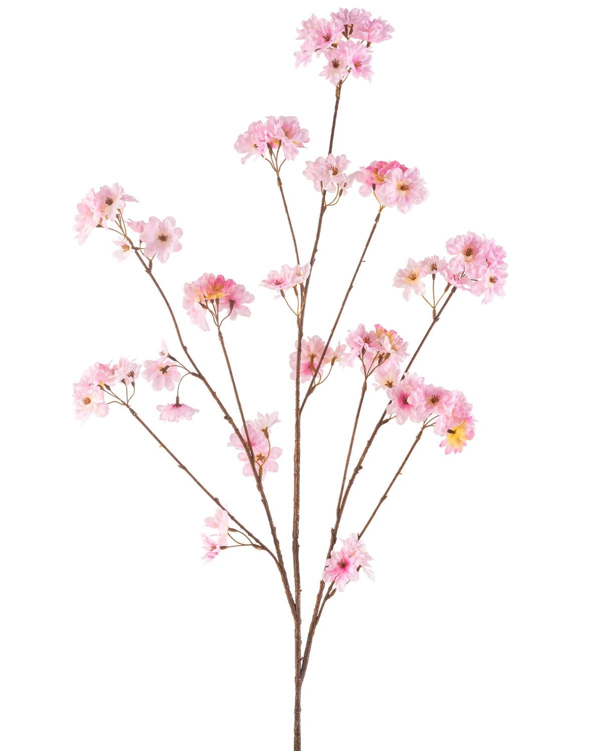 La Fleur de Cerisier Artificielle 130 cm rose a une seule tige brune qui se ramifie en bouquets de délicates fleurs de cerisier roses, magnifiques sur un fond blanc uni.