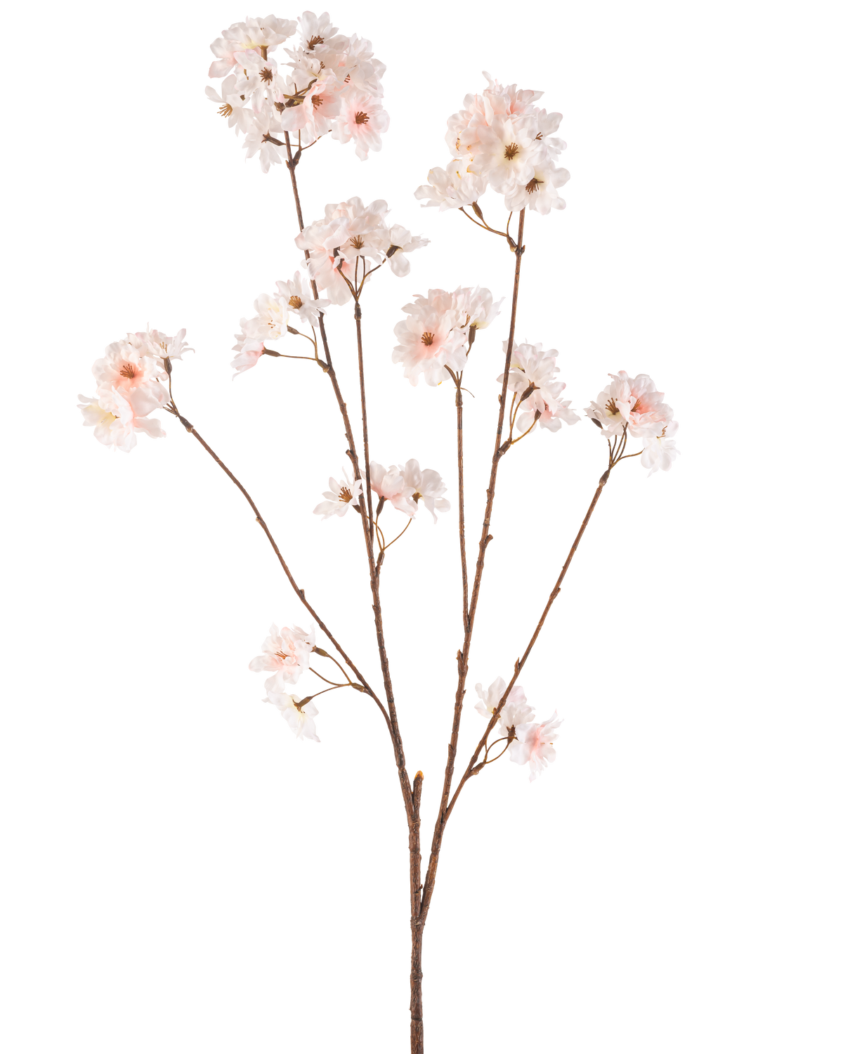 La Fleur Artificielle Fleur de Cerisier 114 cm blush possède une seule tige marron avec plusieurs branches surmontées de délicates fleurs de cerisier rose blush, joliment isolées sur un fond blanc.