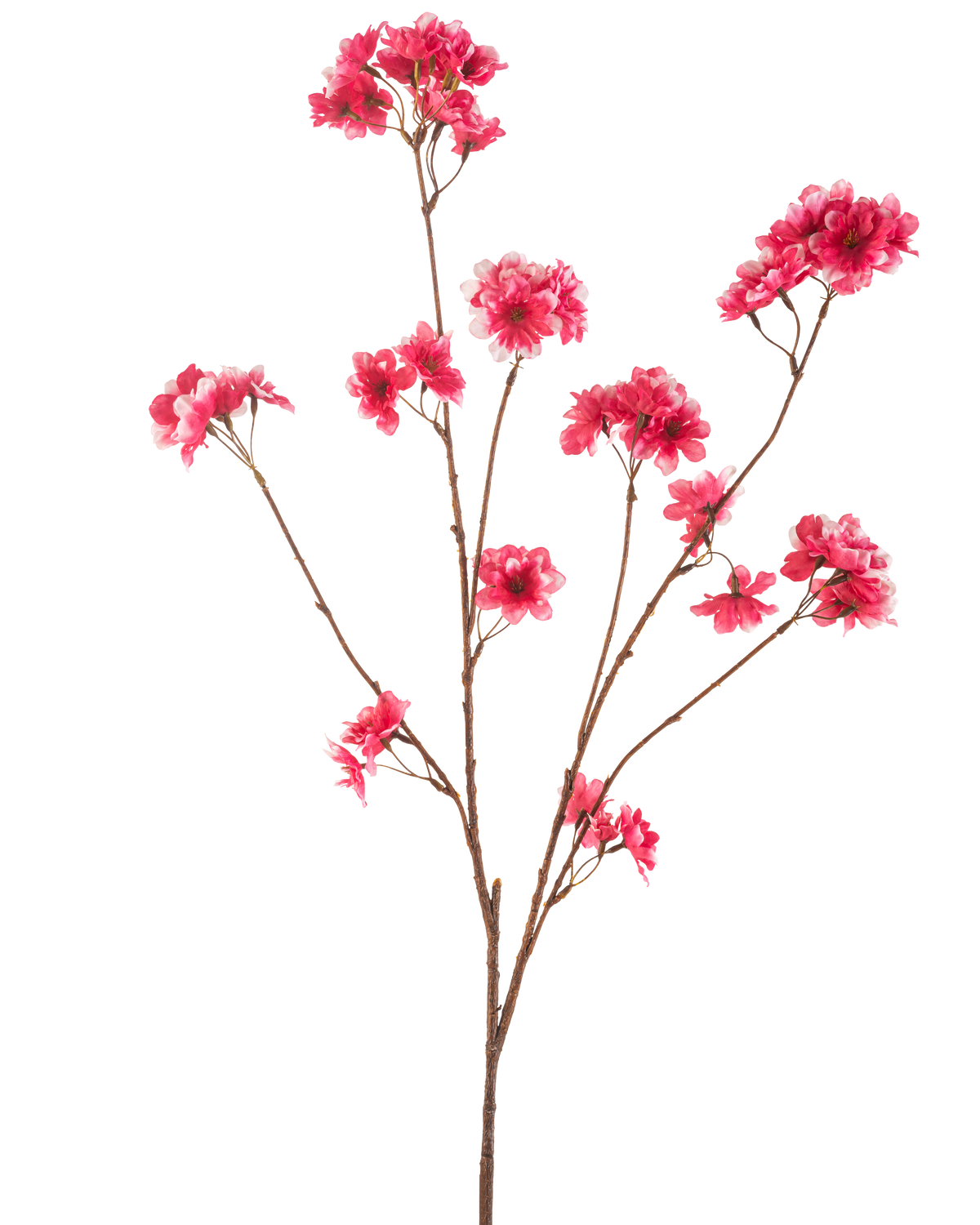 La fleur de cerisier artificielle 114 cm fuchsia présente une seule branche brune avec plusieurs tiges, chacune avec des grappes de fleurs de Noël artificielles fuchsia vibrantes sur un fond blanc uni.