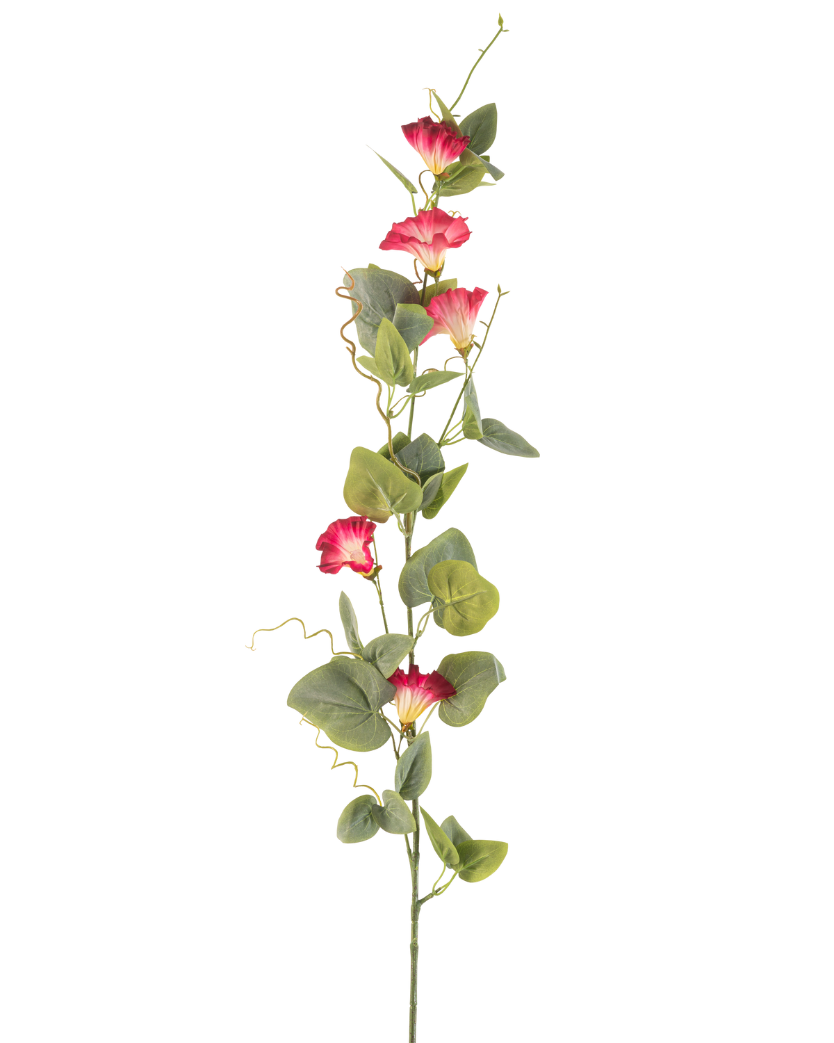 Une seule tige de fleur artificielle de liseron de 122 cm rouge, avec plusieurs fleurs artificielles rouges et feuilles vertes sur un fond blanc uni.
