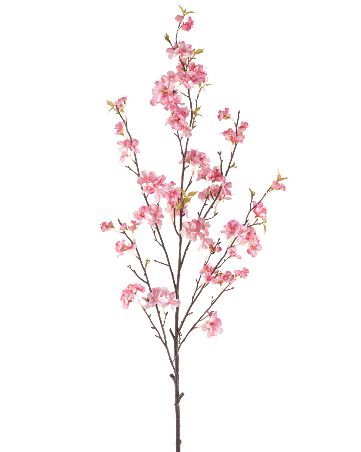 La Fleur de Cerisier Artificielle 150 cm rose possède une seule branche marron aux multiples tiges fines, décorée de bouquets de délicates fleurs de cerisier roses et de quelques feuilles vertes, isolées sur un fond blanc.