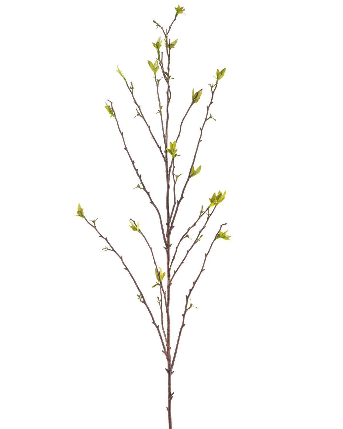 La Branche Artificielle Winterzoet 107 cm vert possède une seule branche nue avec de fines branches et de petites feuilles vertes aux extrémités, sur un fond uni blanc.