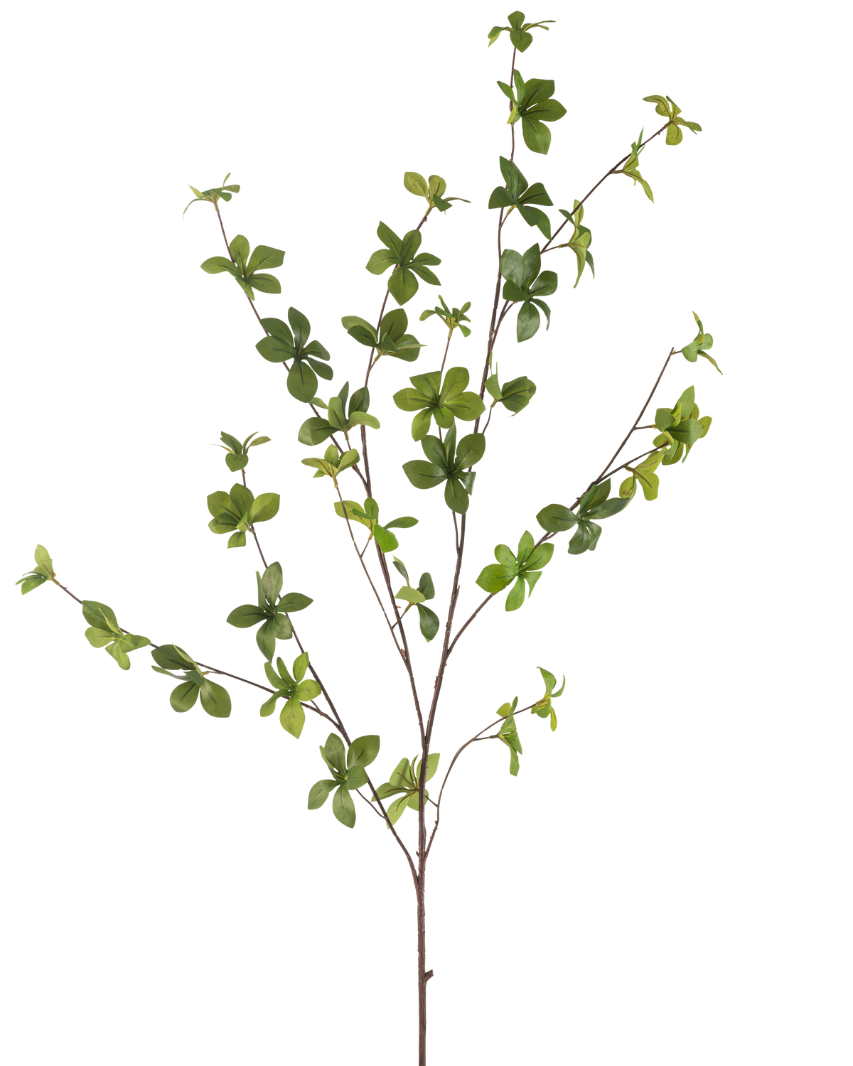 La Fleur Artificielle Enkianthus 119 cm verte possède une seule branche élancée avec de multiples ramifications et de petites feuilles vertes vibrantes, isolées sur un fond blanc.