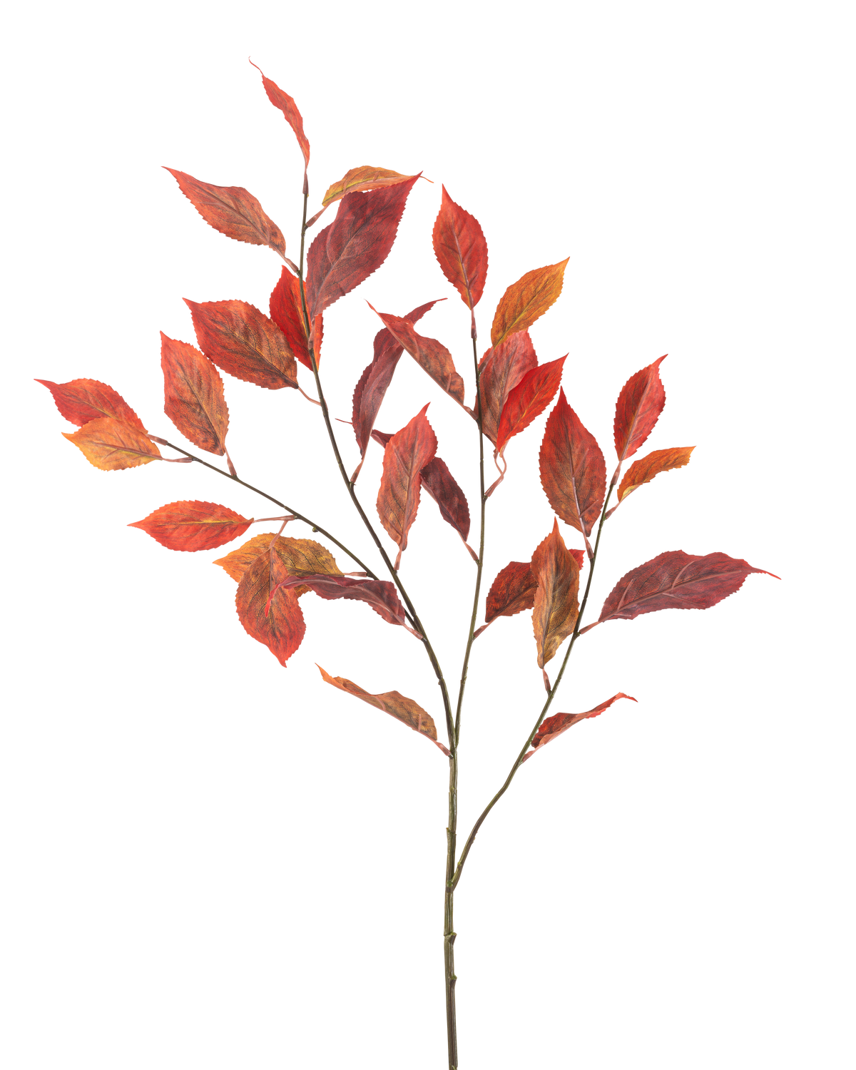 La fleur artificielle feuille d'orme 113 cm rouge a plusieurs tiges fines avec des feuilles d'automne rouge vif et orange, isolées sur un fond blanc.