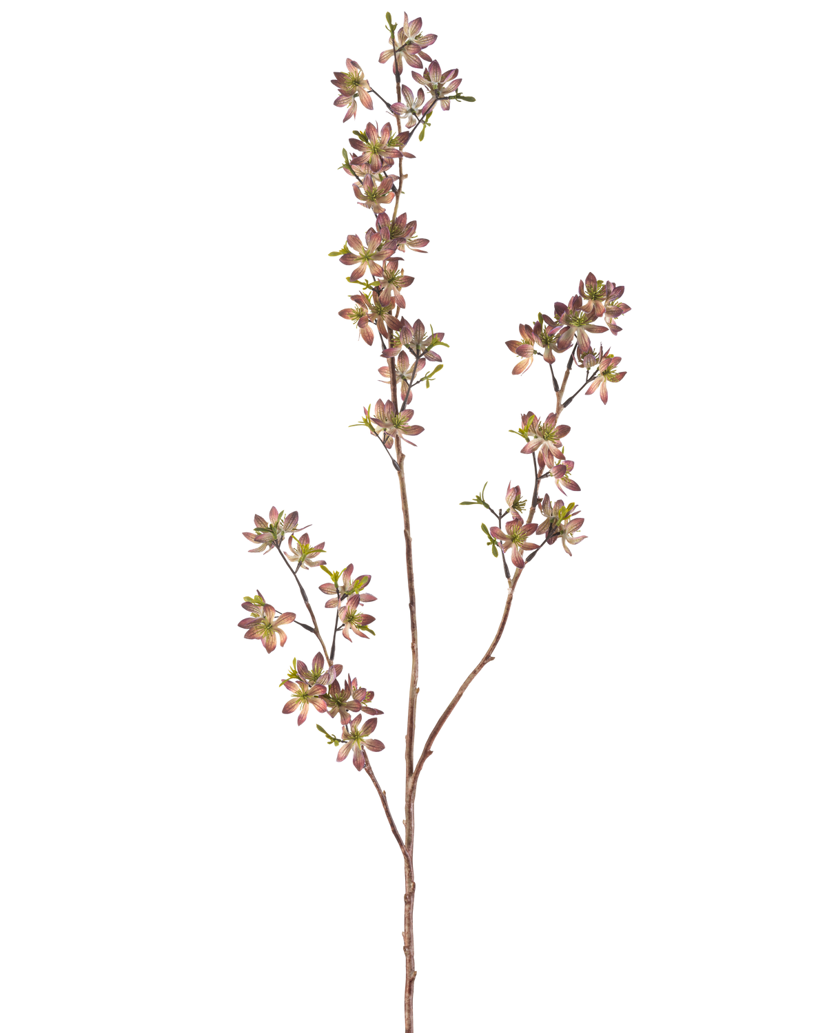 La Fleur Artificielle Flowers 102 cm violet/vert possède une seule tige marron avec de multiples branches, chacune décorée de petites feuilles tachetées violettes et vertes, sur un fond uni blanc.