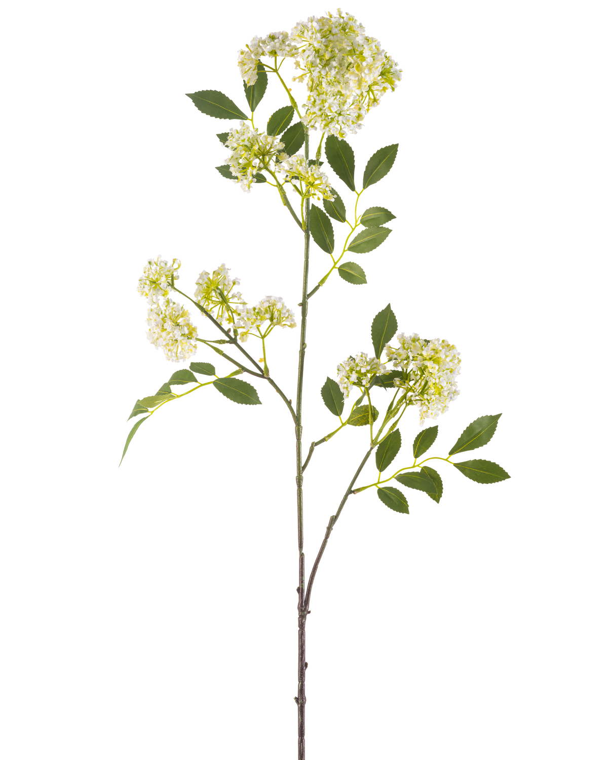 La Fleur Artificielle Carotte Sauvage 102 cm crème a une seule tige haute avec des bouquets de petites fleurs crème et plusieurs feuilles vertes dentelées sur fond blanc.