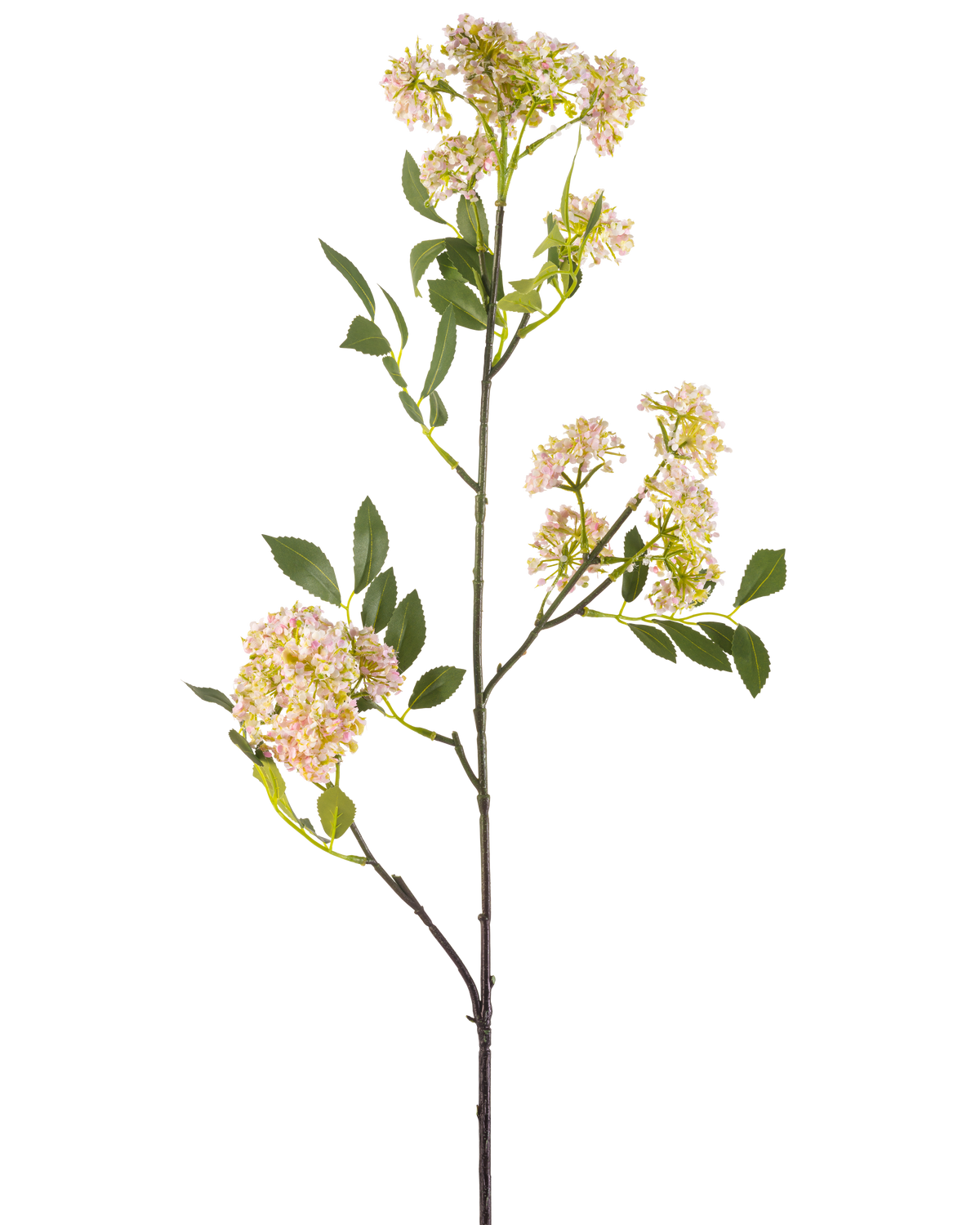 La Fleur Artificielle Carotte Sauvage 102 cm violette possède une tige longue et fine avec des bouquets de petites fleurs violettes et des feuilles vertes, isolées sur un fond blanc.