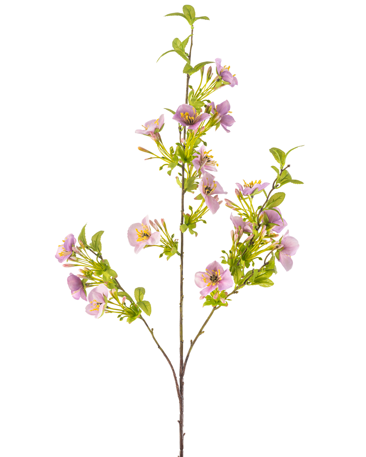 La Fleur Artificielle Quisqualis 110 cm violet a une tige longue et fine avec plusieurs feuilles vertes et des bouquets de délicates fleurs violet clair avec un cœur jaune sur fond blanc.