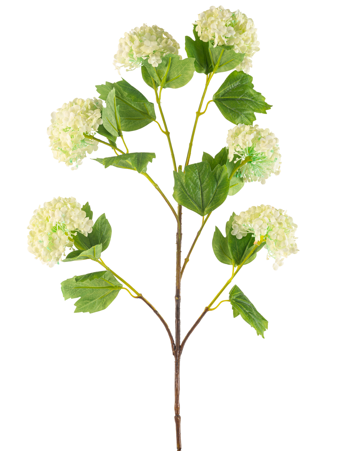 La boule de neige artificielle de 94 cm verte a une seule tige artificielle avec des bouquets de fleurs vert clair ressemblant à des hortensias et quelques feuilles vertes, représentées sur un fond blanc.