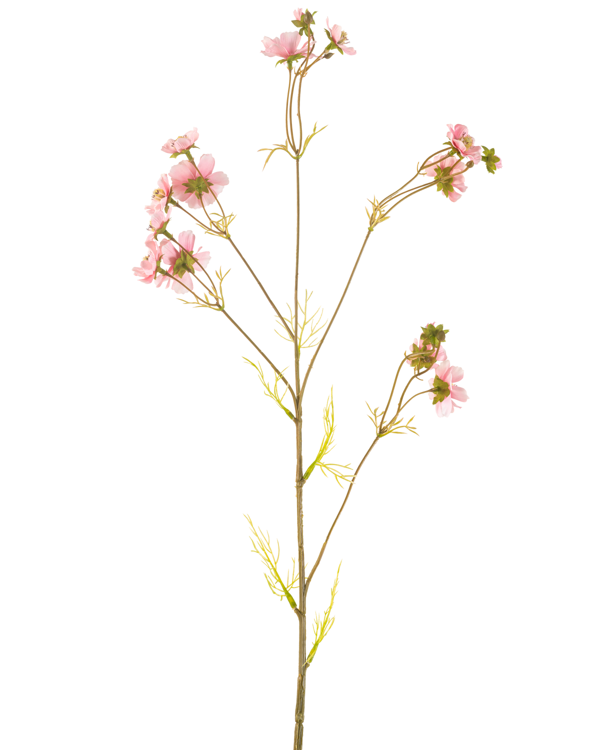 Une fleur artificielle Cosmos 95 cm rose a une seule tige haute avec de multiples branches fines, chacune décorée de bouquets de fleurs roses délicates et de feuilles vert clair, sur un fond blanc uni.