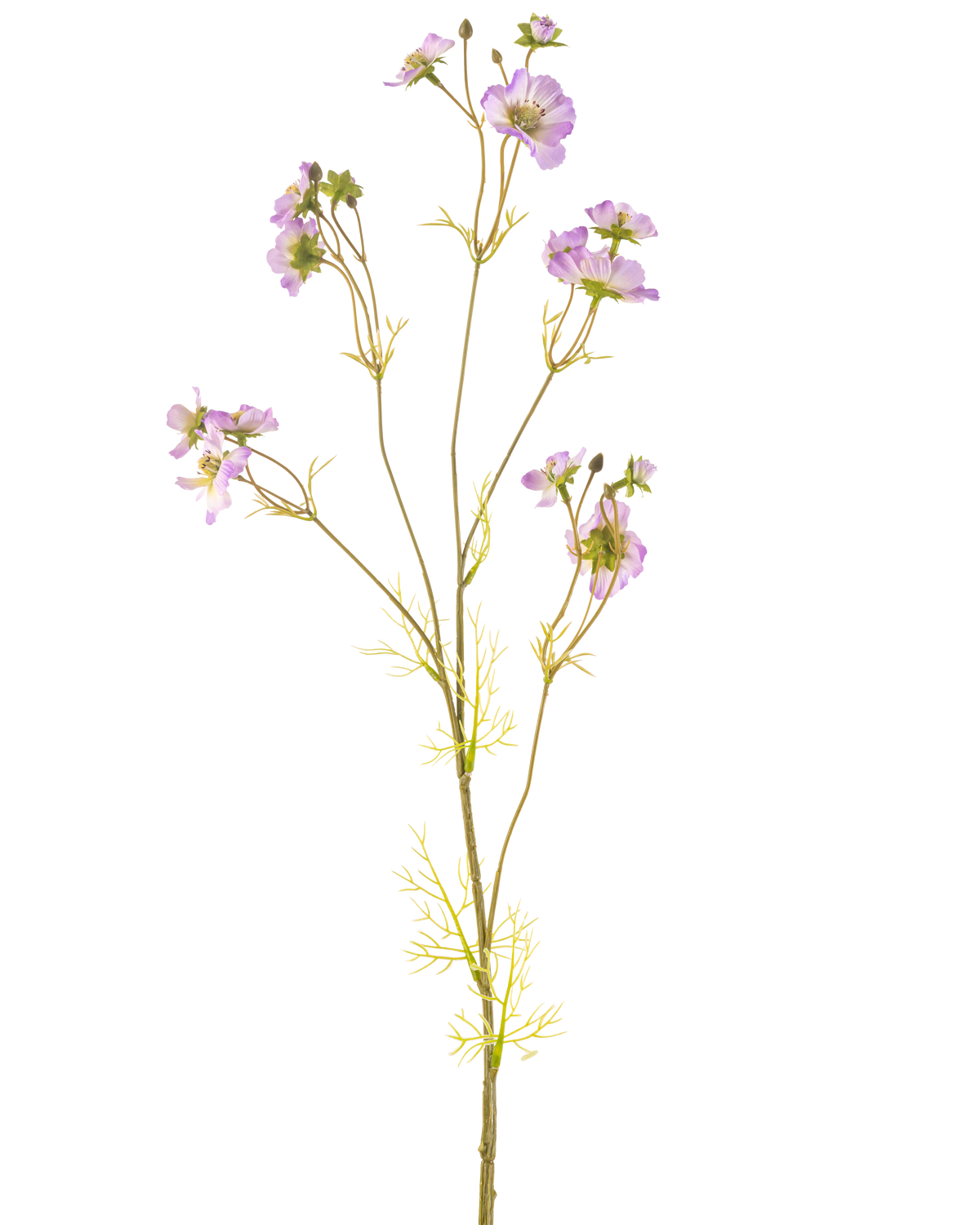 La Fleur Artificielle Cosmos 95 cm lilas a une tige délicate avec plusieurs fleurs violet clair et de petites feuilles vertes, magnifiques sur un fond blanc uni.