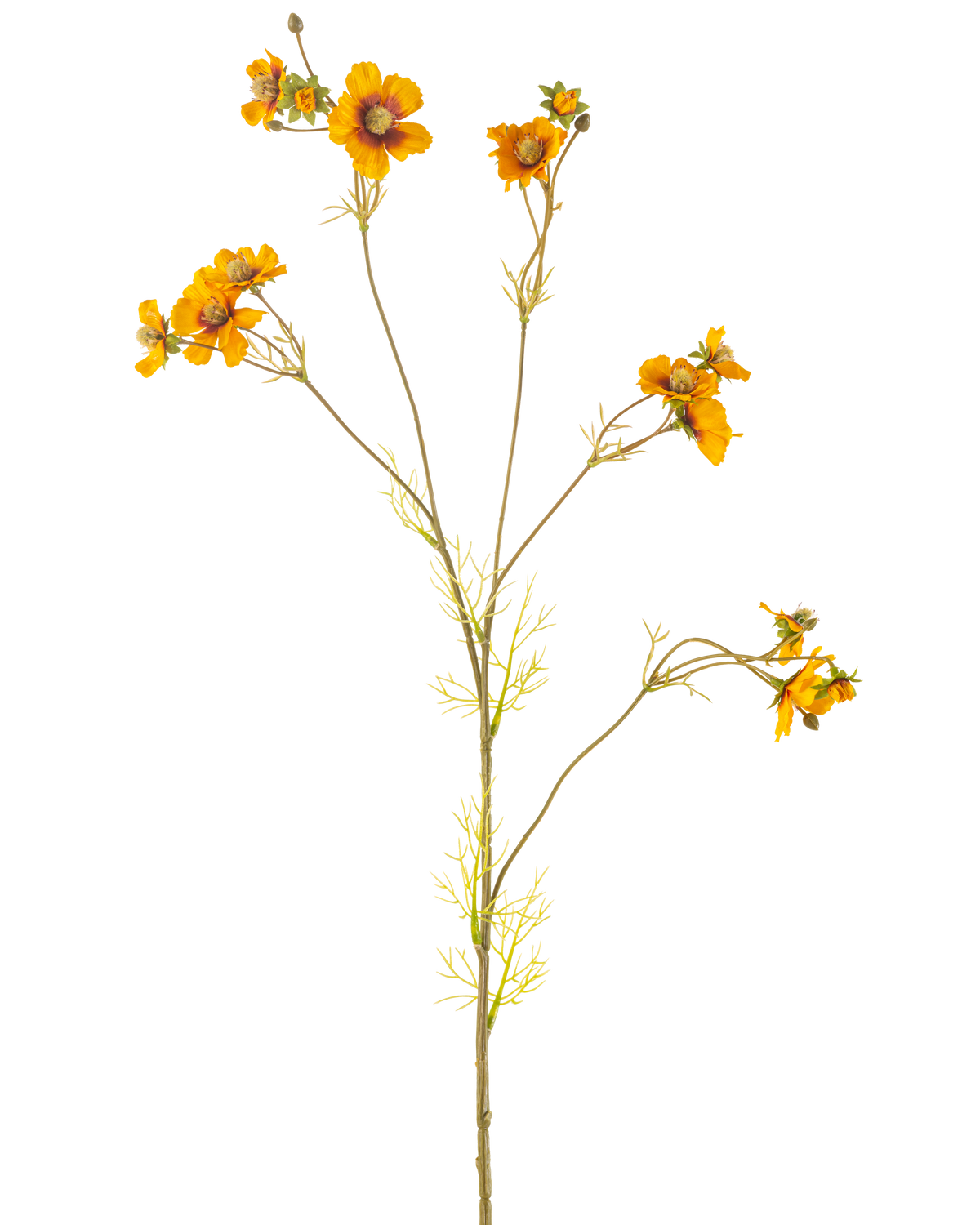 La Fleur Artificielle Cosmos 95 cm jaune a une seule tige haute avec de fines branches, chacune décorée de bouquets de fleurs jaune orangé vif et de feuilles vertes délicates, sur un fond blanc uni.