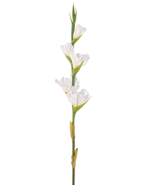 La Fleur Artificielle Glaïeul 83 cm blanc est une seule tige de glaïeul artificiel blanc avec de multiples fleurs et bourgeons verts, debout sur un fond blanc uni.