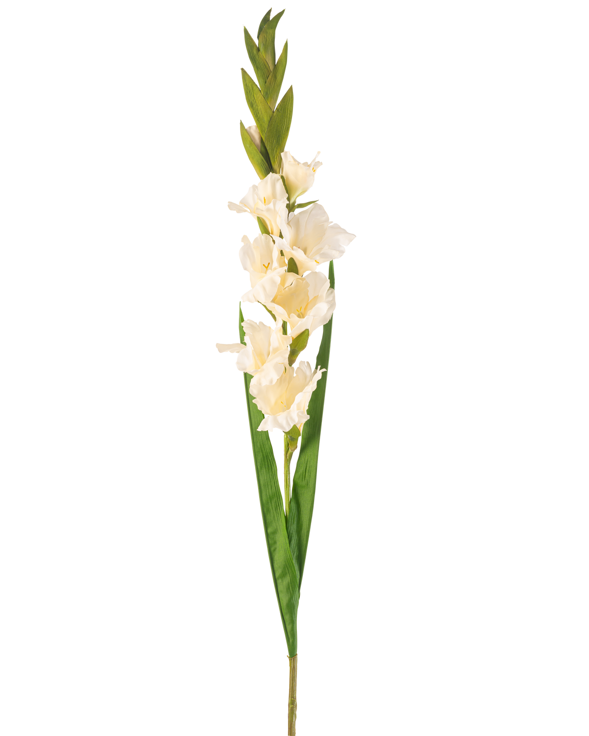 La Fleur Artificielle Glaïeul 93 cm crème est une tige de glaïeul artificiel blanc avec de multiples fleurs, de longues feuilles vertes et plusieurs bourgeons verts au sommet, sur un fond blanc uni.