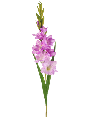 Une seule tige de glaïeul de fleur artificielle de 93 cm avec plusieurs fleurs roses et violet clair avec de longues feuilles vertes, isolées sur fond blanc.